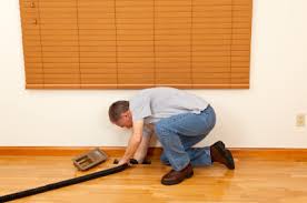 mold remediation Santa Ana